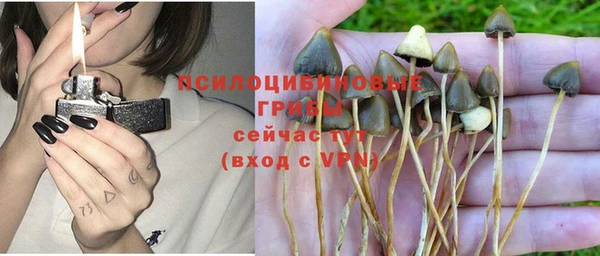 эйфоретик Кодинск