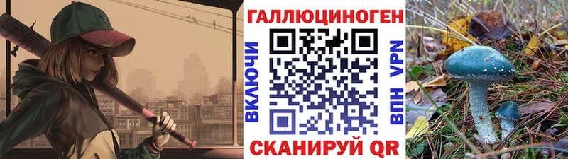 это какой сайт  Починок  Псилоцибиновые грибы ЛСД 